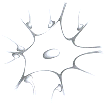 neuron-skizze